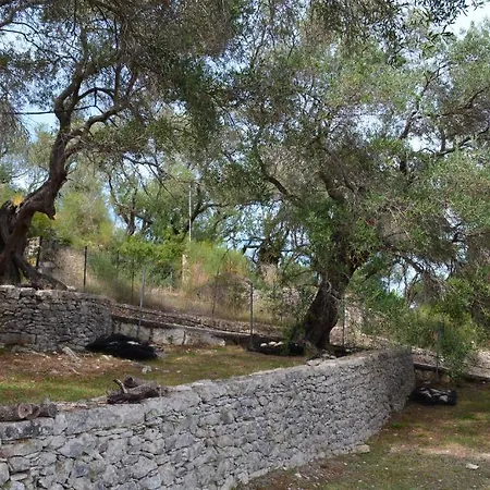 Antigoni Lejlighed