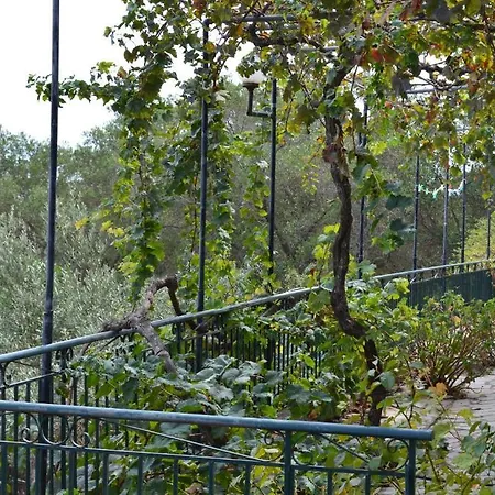 Antigoni Apartment *